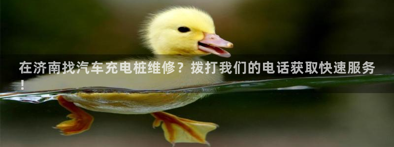 意甲威廉希尔初盘1.67 3.9 4.5：在济南找汽车充电桩维修？拨打我们的电话获取快速服务
！