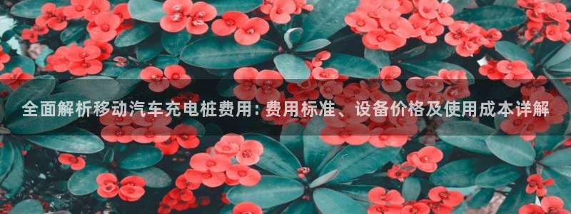 威廉希尔在中国有没有平台公司：全面解析移