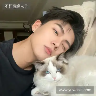 管如韦